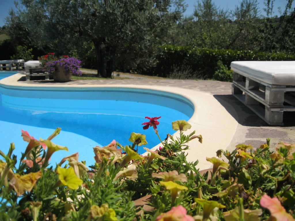 Oliveta Apartment Tavarnelle in Val di Pesa الغرفة الصورة