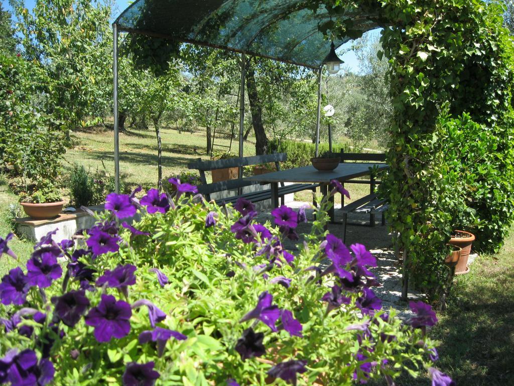 Oliveta Apartment Tavarnelle in Val di Pesa الغرفة الصورة